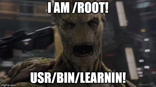 Guardians of Linux | I AM /ROOT! USR/BIN/LEARNIN! | image tagged in computer humor | made w/ Imgflip meme maker