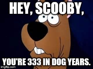 Scooby Doo Surprised | HEY, SCOOBY, YOU'RE 333 IN DOG YEARS. | image tagged in scooby doo surprised | made w/ Imgflip meme maker
