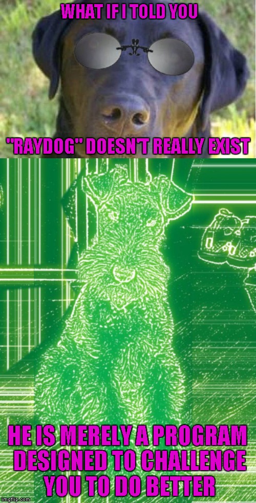 "RAYDOG" DOESN'T REALLY EXIST HE IS MERELY A PROGRAM DESIGNED TO CHALLENGE YOU TO DO BETTER WHAT IF I TOLD YOU | made w/ Imgflip meme maker