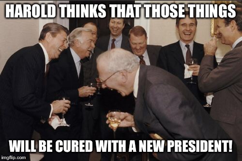 Laughing Men In Suits Meme | HAROLD THINKS THAT THOSE THINGS WILL BE CURED WITH A NEW PRESIDENT! | image tagged in memes,laughing men in suits | made w/ Imgflip meme maker