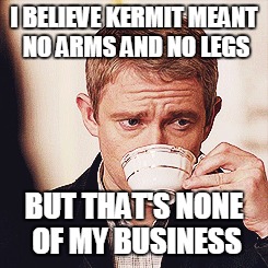 I BELIEVE KERMIT MEANT NO ARMS AND NO LEGS BUT THAT'S NONE OF MY BUSINESS | made w/ Imgflip meme maker