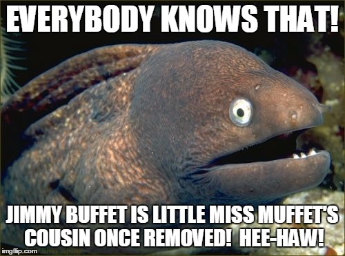 EVERYBODY KNOWS THAT! JIMMY BUFFET IS LITTLE MISS MUFFET'S COUSIN ONCE REMOVED!  HEE-HAW! | made w/ Imgflip meme maker