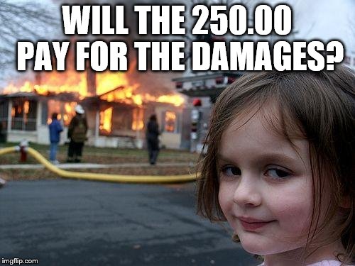 Disaster Girl Meme | WILL THE 250.00 PAY FOR THE DAMAGES? | image tagged in memes,disaster girl | made w/ Imgflip meme maker