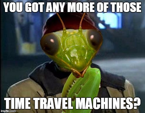 Yall Got Any More Of Mantis Memes | YOU GOT ANY MORE OF THOSE TIME TRAVEL MACHINES? | image tagged in yall got any more of mantis memes | made w/ Imgflip meme maker