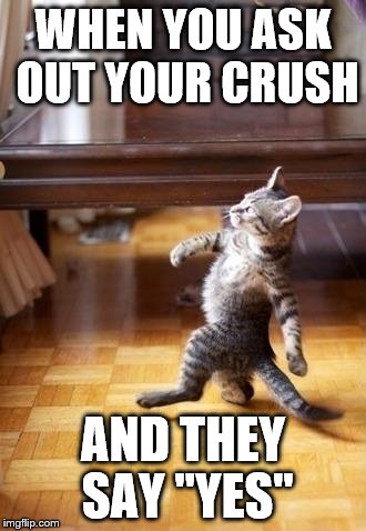 Cool Cat Stroll | WHEN YOU ASK OUT YOUR CRUSH; AND THEY SAY "YES" | image tagged in memes,cool cat stroll | made w/ Imgflip meme maker