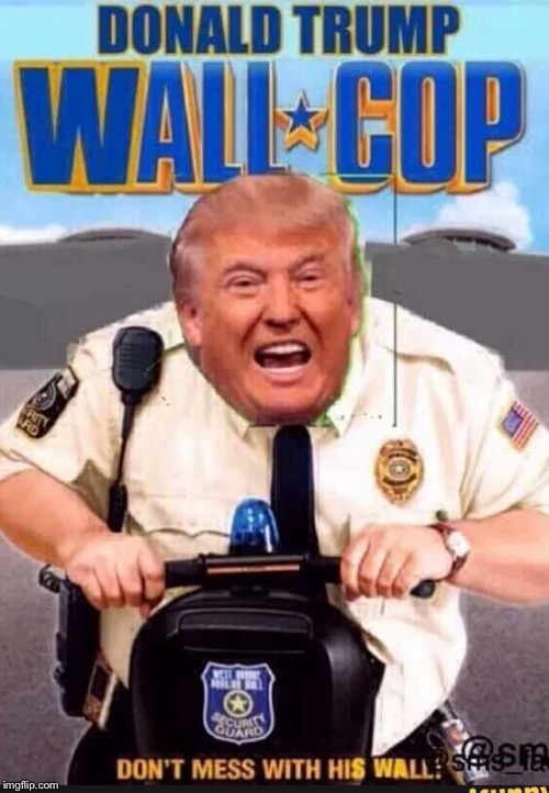 One does not simply stop this madness  | image tagged in trump gona hate,donald trump,paul mall,mall cop,election 2016 | made w/ Imgflip meme maker
