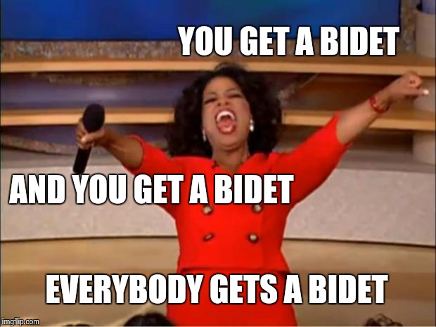 Oprah You Get A Meme | YOU GET A BIDET EVERYBODY GETS A BIDET AND YOU GET A BIDET | image tagged in memes,oprah you get a | made w/ Imgflip meme maker