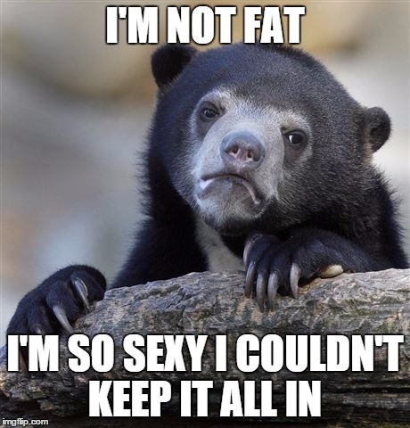 Confession Bear | I'M NOT FAT; I'M SO SEXY I COULDN'T KEEP IT ALL IN | image tagged in memes,confession bear | made w/ Imgflip meme maker
