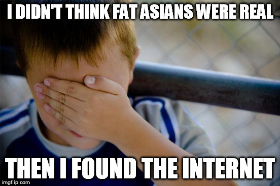 I DIDN'T THINK FAT ASIANS WERE REAL THEN I FOUND THE INTERNET | made w/ Imgflip meme maker