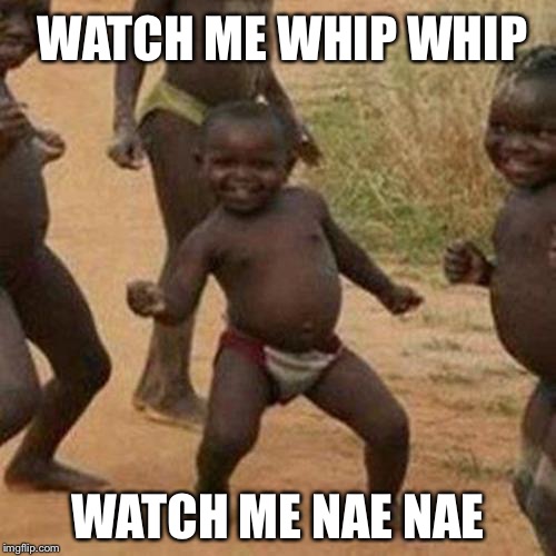 Third World Success Kid | WATCH ME WHIP WHIP; WATCH ME NAE NAE | image tagged in memes,third world success kid | made w/ Imgflip meme maker