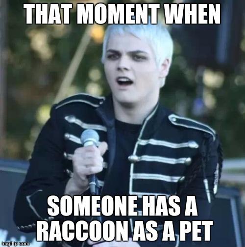 Disgusted Gerard | THAT MOMENT WHEN SOMEONE HAS A RACCOON AS A PET | image tagged in disgusted gerard | made w/ Imgflip meme maker