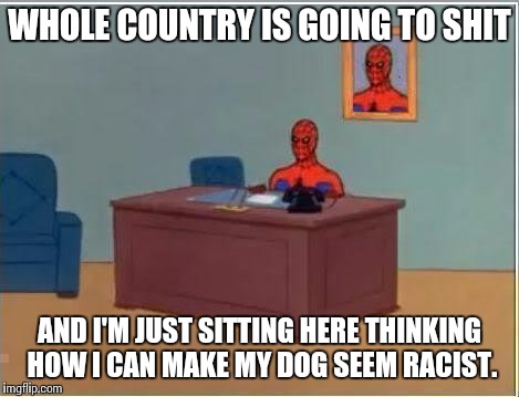 Spiderman Computer Desk | WHOLE COUNTRY IS GOING TO SHIT; AND I'M JUST SITTING HERE THINKING HOW I CAN MAKE MY DOG SEEM RACIST. | image tagged in memes,spiderman computer desk,spiderman | made w/ Imgflip meme maker