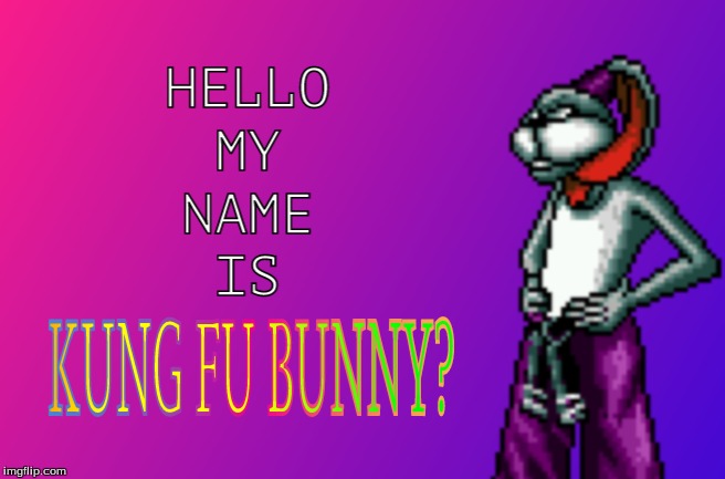thats my real name | image tagged in memes,video games,bunny,kung fu,funny | made w/ Imgflip meme maker