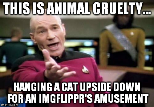 Picard Wtf Meme | THIS IS ANIMAL CRUELTY... HANGING A CAT UPSIDE DOWN FOR AN IMGFLIPPR'S AMUSEMENT | image tagged in memes,picard wtf | made w/ Imgflip meme maker