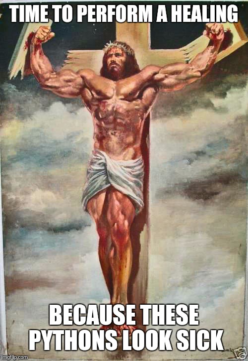 TIME TO PERFORM A HEALING; BECAUSE THESE PYTHONS LOOK SICK | image tagged in jesus,do you even lift | made w/ Imgflip meme maker