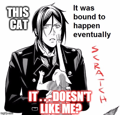 That Face You Make When a Cat Attacks | THIS CAT; IT . . . DOESN'T LIKE ME? | image tagged in sebastian and cat,that face you make,black butler,scratch,evil kitty | made w/ Imgflip meme maker