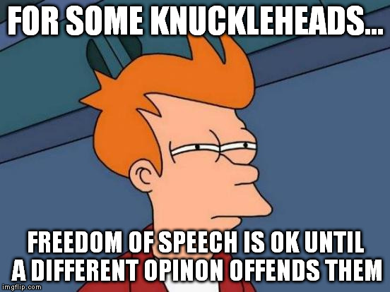 Futurama Fry Meme | FOR SOME KNUCKLEHEADS... FREEDOM OF SPEECH IS OK UNTIL A DIFFERENT OPINON OFFENDS THEM | image tagged in memes,futurama fry | made w/ Imgflip meme maker