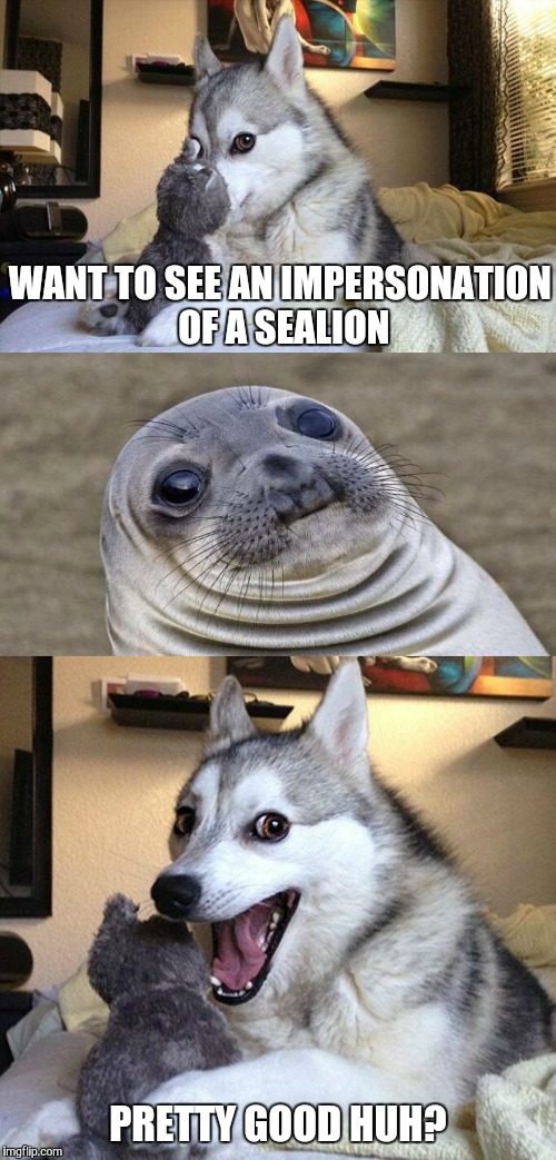 Bad Impersonation Pun Dog | WANT TO SEE AN IMPERSONATION OF A SEALION; PRETTY GOOD HUH? | image tagged in memes,bad pun dog,awkward sealion,i'm bad at puns dog,awkward moment sealion,funny | made w/ Imgflip meme maker