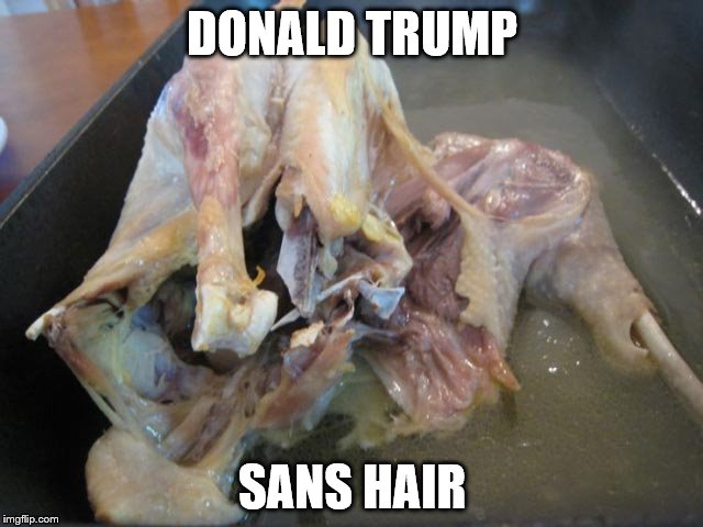 Donald Trump | DONALD TRUMP; SANS HAIR | image tagged in donald trump,donald trumph hair,evil,spawn,hell | made w/ Imgflip meme maker