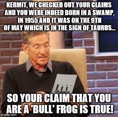 Maury lie detector: Is Kermit a 'Bull' frog | KERMIT, WE CHECKED OUT YOUR CLAIMS AND YOU WERE INDEED BORN IN A SWAMP, IN 1955 AND IT WAS ON THE 9TH OF MAY WHICH IS IN THE SIGN OF TAURUS... SO YOUR CLAIM THAT YOU ARE A 'BULL' FROG IS TRUE! | image tagged in memes,maury lie detector,kermit the frog,taurus,born,may | made w/ Imgflip meme maker