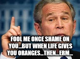 FOOL ME ONCE SHAME ON YOU...BUT WHEN LIFE GIVES YOU ORANGES...THEN...ERM... | made w/ Imgflip meme maker