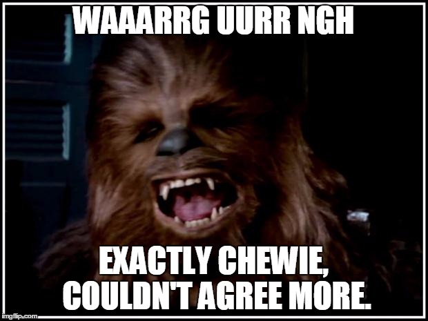 chewbacca | WAAARRG UURR NGH; EXACTLY CHEWIE, COULDN'T AGREE MORE. | image tagged in chewbacca | made w/ Imgflip meme maker