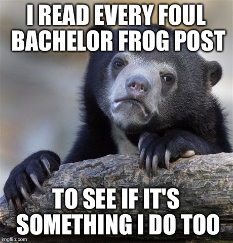 Confession Bear | I READ EVERY FOUL BACHELOR FROG POST; TO SEE IF IT'S SOMETHING I DO TOO | image tagged in memes,confession bear,AdviceAnimals | made w/ Imgflip meme maker