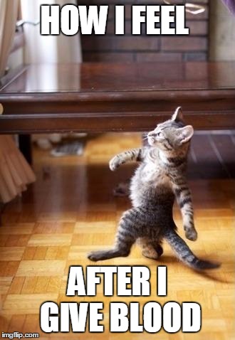 Cool Cat Stroll | HOW I FEEL; AFTER I GIVE BLOOD | image tagged in memes,cool cat stroll | made w/ Imgflip meme maker