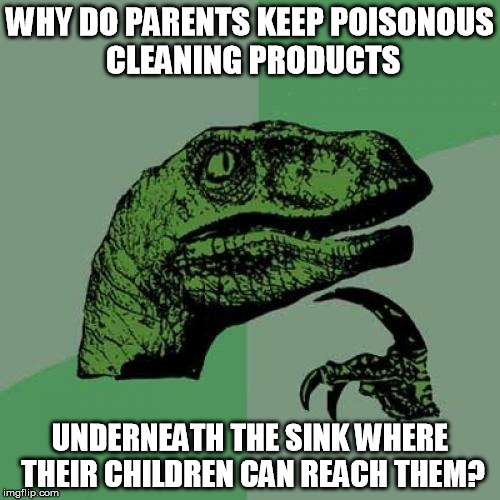 poisonous products
 | WHY DO PARENTS KEEP POISONOUS CLEANING PRODUCTS; UNDERNEATH THE SINK WHERE THEIR CHILDREN CAN REACH THEM? | image tagged in memes,philosoraptor,poison,parents,kids,reach | made w/ Imgflip meme maker