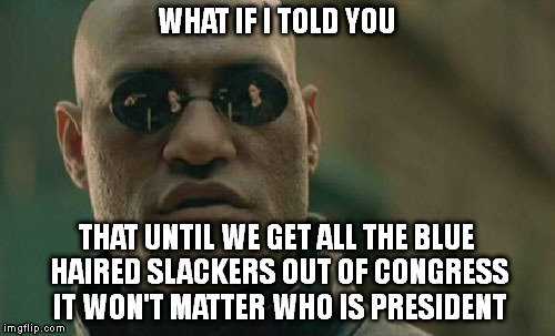 Matrix Morpheus | WHAT IF I TOLD YOU; THAT UNTIL WE GET ALL THE BLUE HAIRED SLACKERS OUT OF CONGRESS IT WON'T MATTER WHO IS PRESIDENT | image tagged in memes,matrix morpheus | made w/ Imgflip meme maker