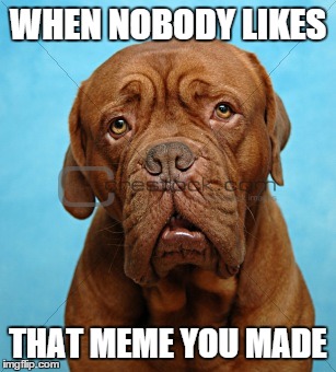 WHEN NOBODY LIKES; THAT MEME YOU MADE | image tagged in sad dog | made w/ Imgflip meme maker