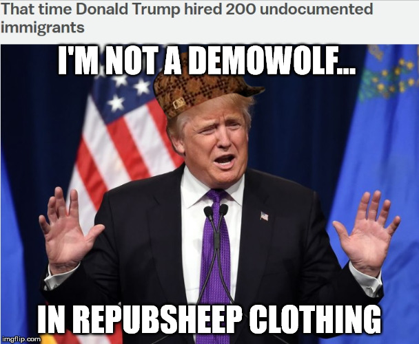 trumpsterfire stench over exploiting immigrants | I'M NOT A DEMOWOLF... IN REPUBSHEEP CLOTHING | image tagged in douchebag finally exposed,trumpsterfire stench- pretty awful | made w/ Imgflip meme maker