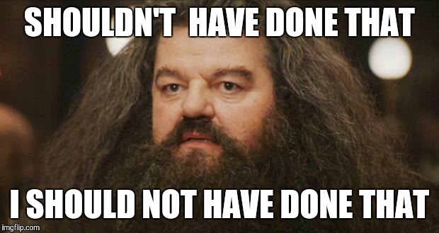 Hagrid | SHOULDN'T  HAVE DONE THAT; I SHOULD NOT HAVE DONE THAT | image tagged in hagrid,AdviceAnimals | made w/ Imgflip meme maker