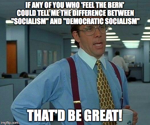 That Would Be Great | IF ANY OF YOU WHO 'FEEL THE BERN' COULD TELL ME THE DIFFERENCE BETWEEN "SOCIALISM" AND "DEMOCRATIC SOCIALISM"; THAT'D BE GREAT! | image tagged in memes,that would be great | made w/ Imgflip meme maker