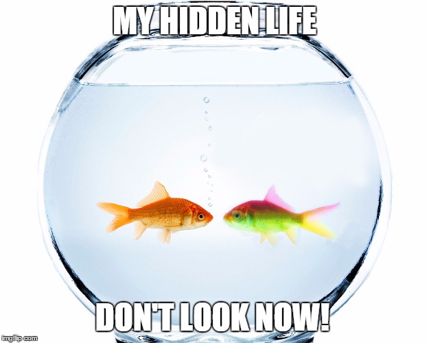 DYING FROM EXPOSURE | MY HIDDEN LIFE DON'T LOOK NOW! | image tagged in fish bowl | made w/ Imgflip meme maker