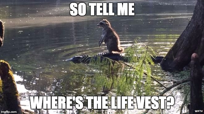alligators | SO TELL ME; WHERE'S THE LIFE VEST? | image tagged in alligators | made w/ Imgflip meme maker