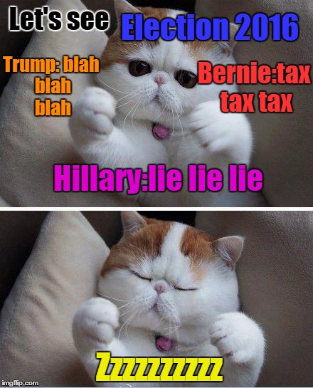 Reading invisible newspaper | Election 2016; Let's see; Trump:
blah blah blah; Bernie:tax tax tax; Hillary:lie lie lie; Zzzzzzzzzz | image tagged in i need hugs cat | made w/ Imgflip meme maker