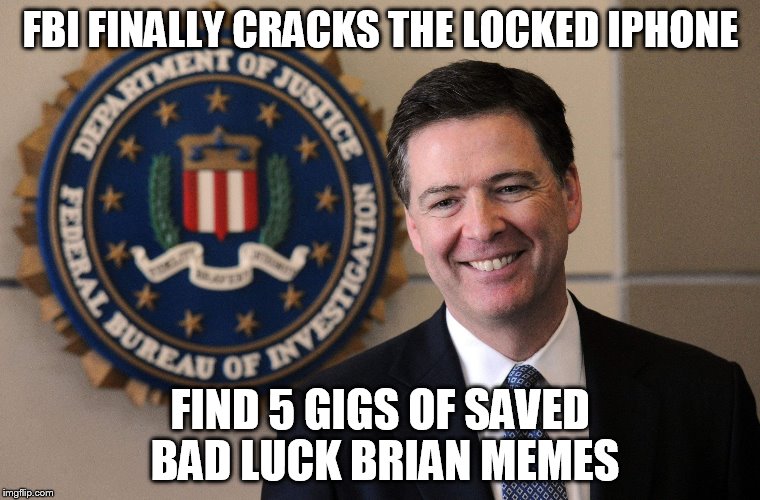 FBI | FBI FINALLY CRACKS THE LOCKED IPHONE; FIND 5 GIGS OF SAVED BAD LUCK BRIAN MEMES | image tagged in fbi | made w/ Imgflip meme maker