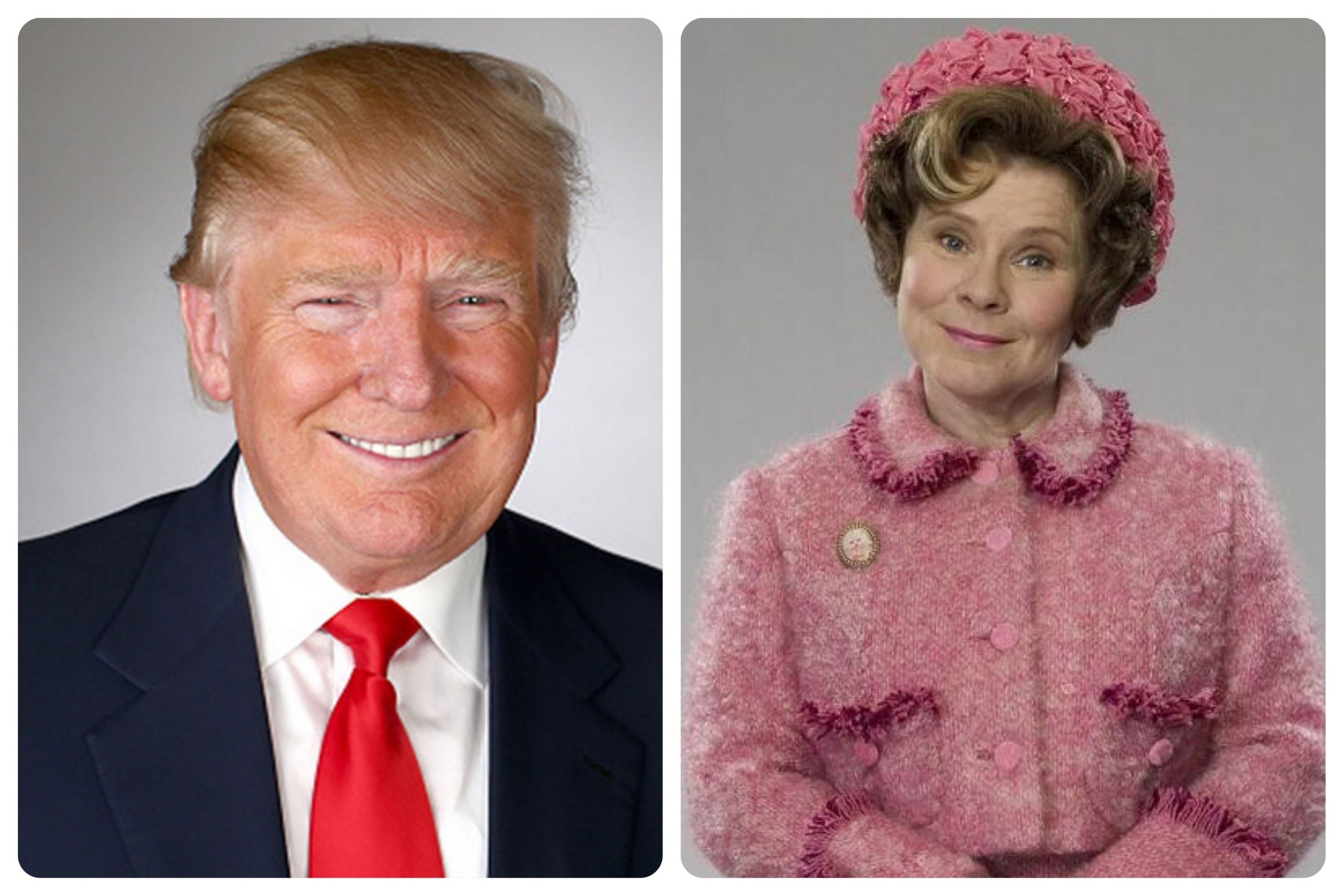 Trump Umbridge Blank Meme Template