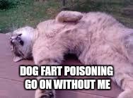 Dead cat | DOG FART POISONING GO ON WITHOUT ME | image tagged in dead cat | made w/ Imgflip meme maker