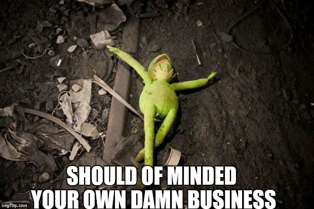 kermit dead | SHOULD OF MINDED YOUR OWN DAMN BUSINESS | image tagged in kermit dead | made w/ Imgflip meme maker