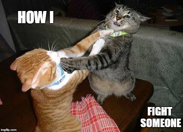 Two cats fighting for real | HOW I; FIGHT SOMEONE | image tagged in two cats fighting for real | made w/ Imgflip meme maker