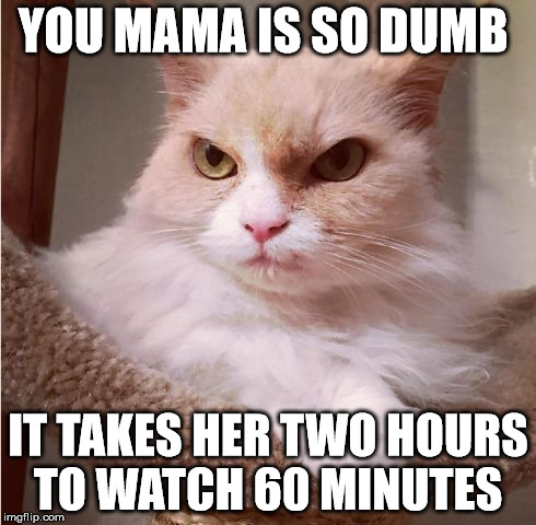 discounted grumpy cat  | YOU MAMA IS SO DUMB; IT TAKES HER TWO HOURS TO WATCH 60 MINUTES | image tagged in discounted grumpy cat | made w/ Imgflip meme maker