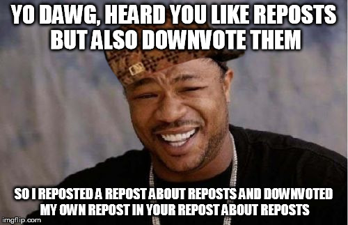 Yo Dawg Heard You Meme | YO DAWG, HEARD YOU LIKE REPOSTS BUT ALSO DOWNVOTE THEM SO I REPOSTED A REPOST ABOUT REPOSTS AND DOWNVOTED MY OWN REPOST IN YOUR REPOST ABOUT | image tagged in memes,yo dawg heard you,scumbag | made w/ Imgflip meme maker