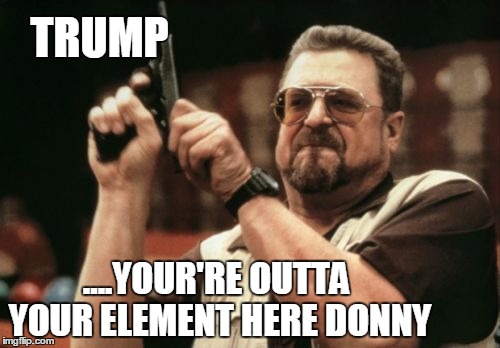 you're outta your element donny | TRUMP; ....YOUR'RE OUTTA YOUR ELEMENT HERE DONNY | image tagged in memes | made w/ Imgflip meme maker