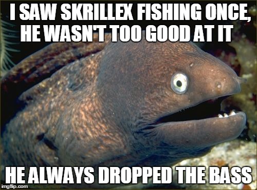Bad Joke Eel Meme | I SAW SKRILLEX FISHING ONCE, HE WASN'T TOO GOOD AT IT; HE ALWAYS DROPPED THE BASS | image tagged in memes,bad joke eel | made w/ Imgflip meme maker