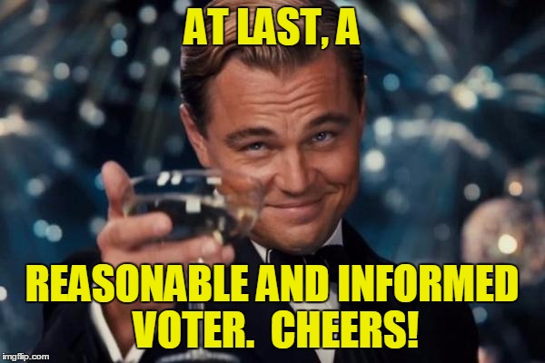 Leonardo Dicaprio Cheers Meme | AT LAST, A REASONABLE AND INFORMED VOTER.  CHEERS! | image tagged in memes,leonardo dicaprio cheers | made w/ Imgflip meme maker
