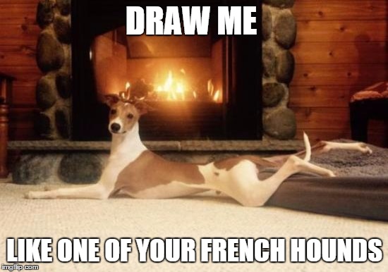 french hound | DRAW ME; LIKE ONE OF YOUR FRENCH HOUNDS | image tagged in bad joke dog | made w/ Imgflip meme maker