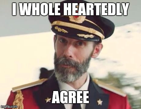  Captain obvious | I WHOLE HEARTEDLY AGREE | image tagged in captain obvious | made w/ Imgflip meme maker