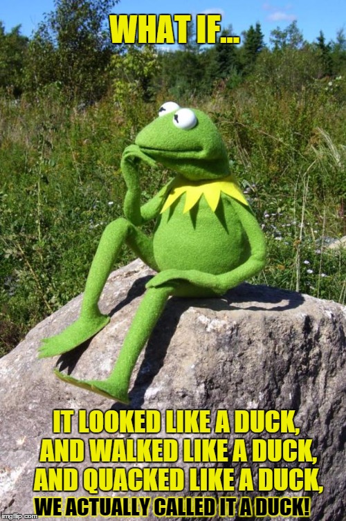 Kermit-thinking about ducks | WHAT IF... IT LOOKED LIKE A DUCK, AND WALKED LIKE A DUCK, AND QUACKED LIKE A DUCK, WE ACTUALLY CALLED IT A DUCK! | image tagged in kermit-thinking,memes,funny memes | made w/ Imgflip meme maker